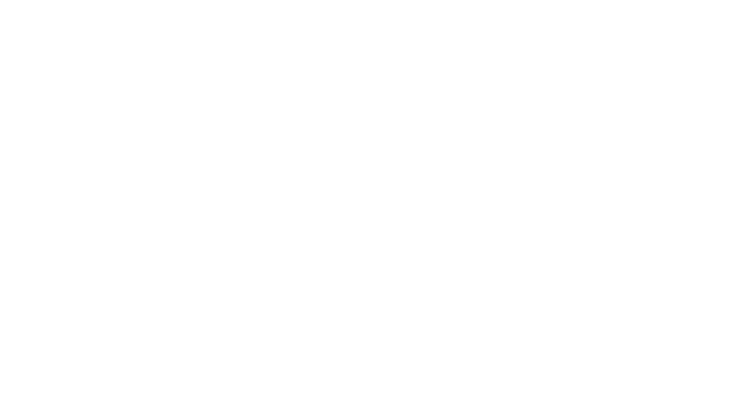 Jarvis Kim