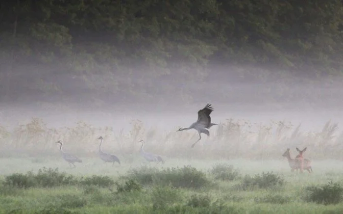 Tuulte tahutud maa.jpg