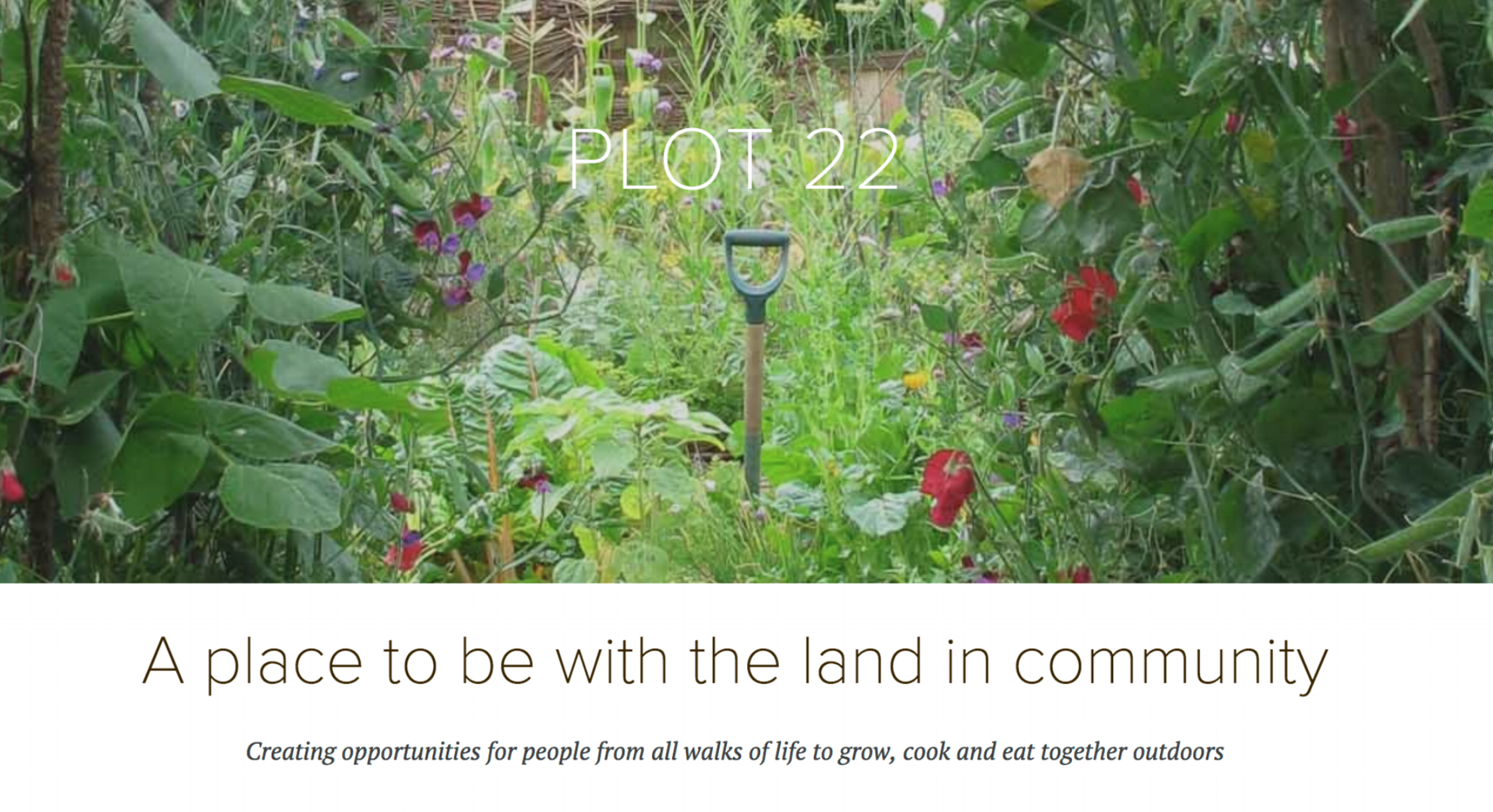 PLOT webphoto 2018-06-18 at 12.19.43.png