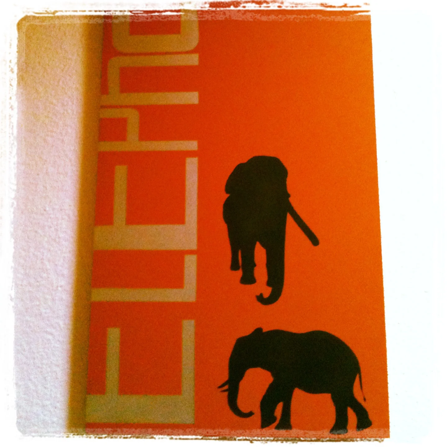 Elephant - Acrylique