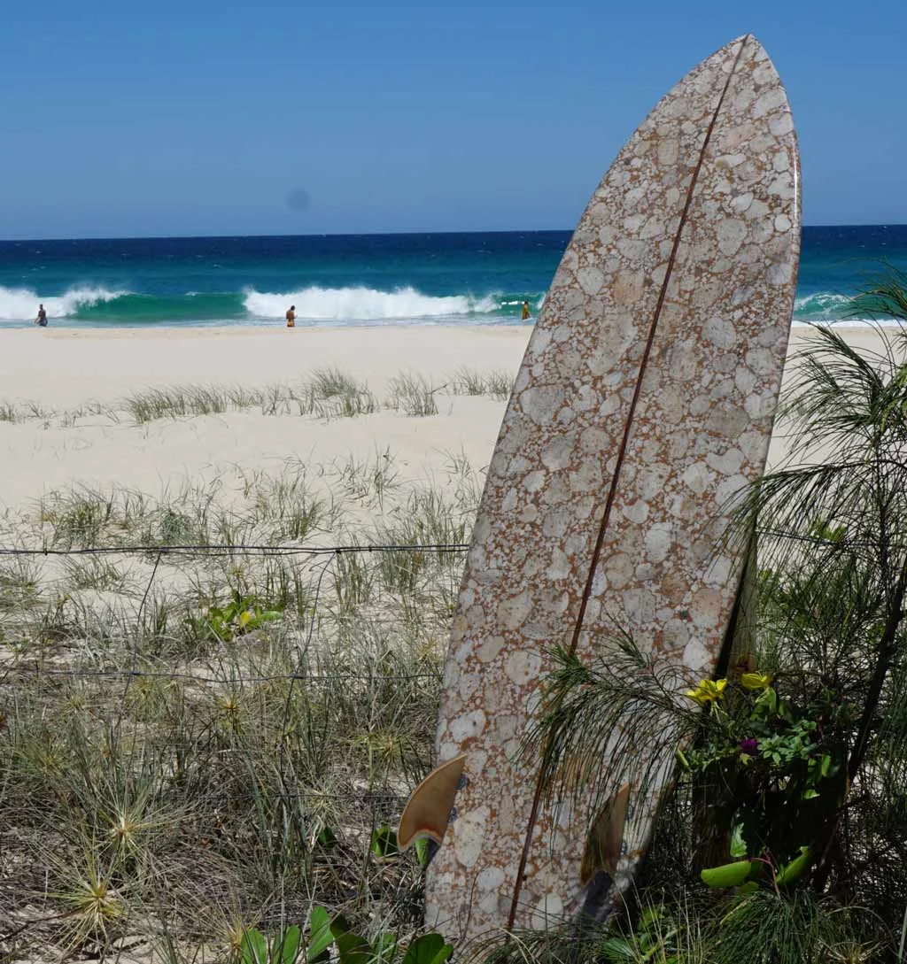 David-Carniel-Stoned-Surfboards.jpg