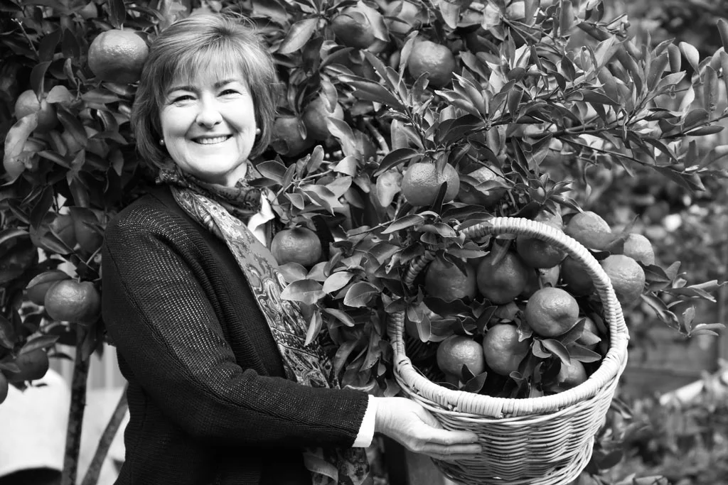 Helen_Andrew_Spare_Harvest.jpg