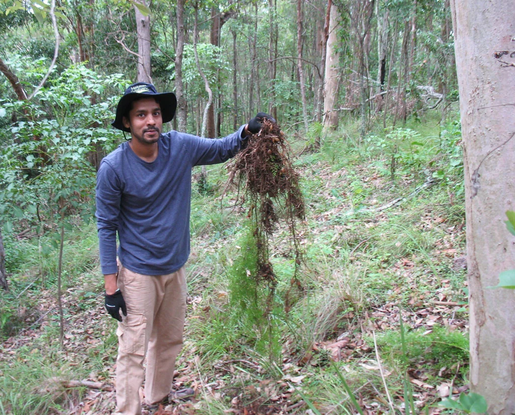 EcoWeeders-impact-entrepreneur.jpg