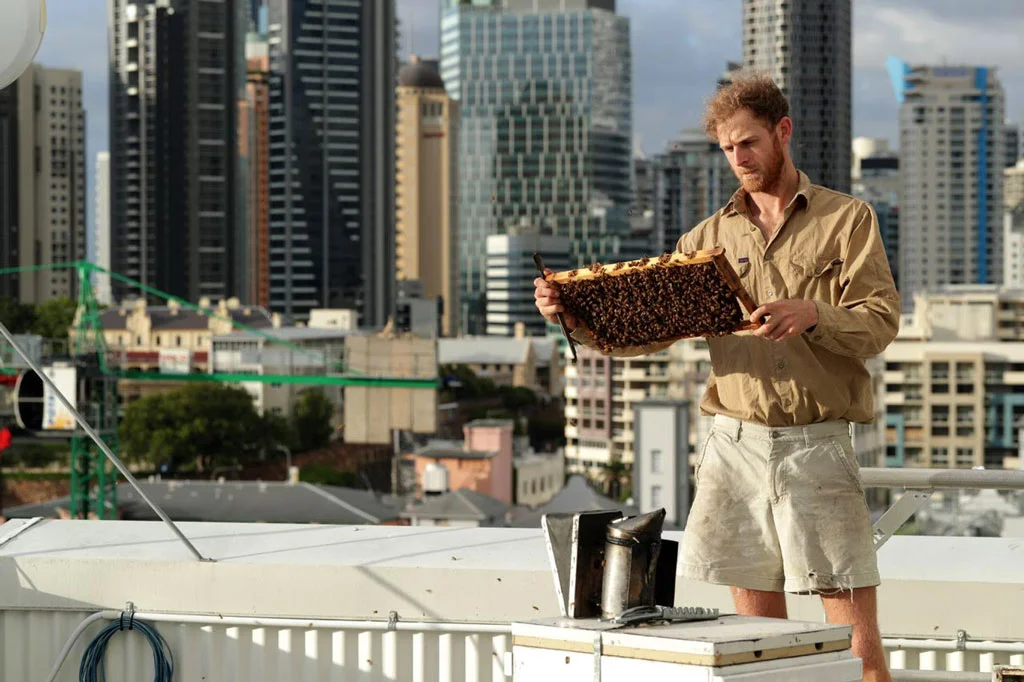 Bee-One-Third-Jack-Stone.jpg