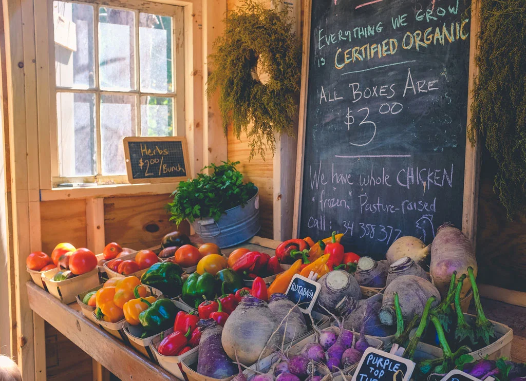 Smart-Soil-social-enterprise.jpg