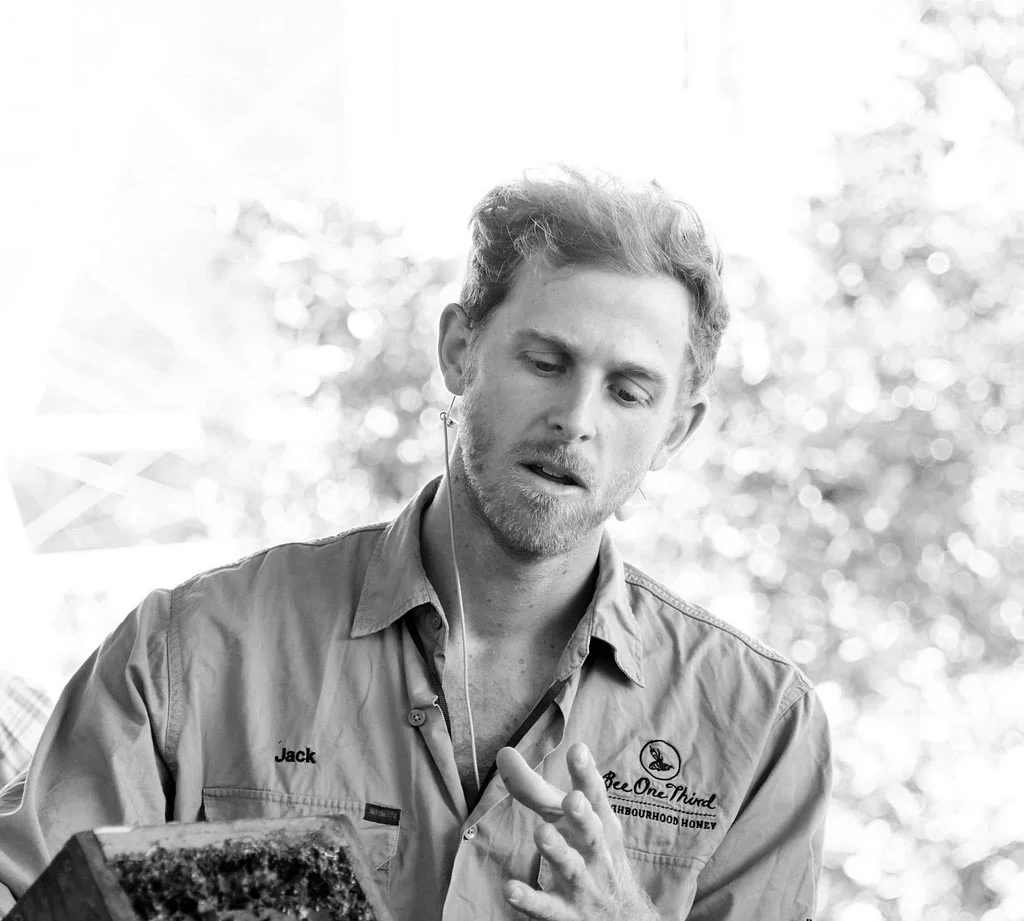 Jack-Stone-Bee-One-Third-honey.jpg
