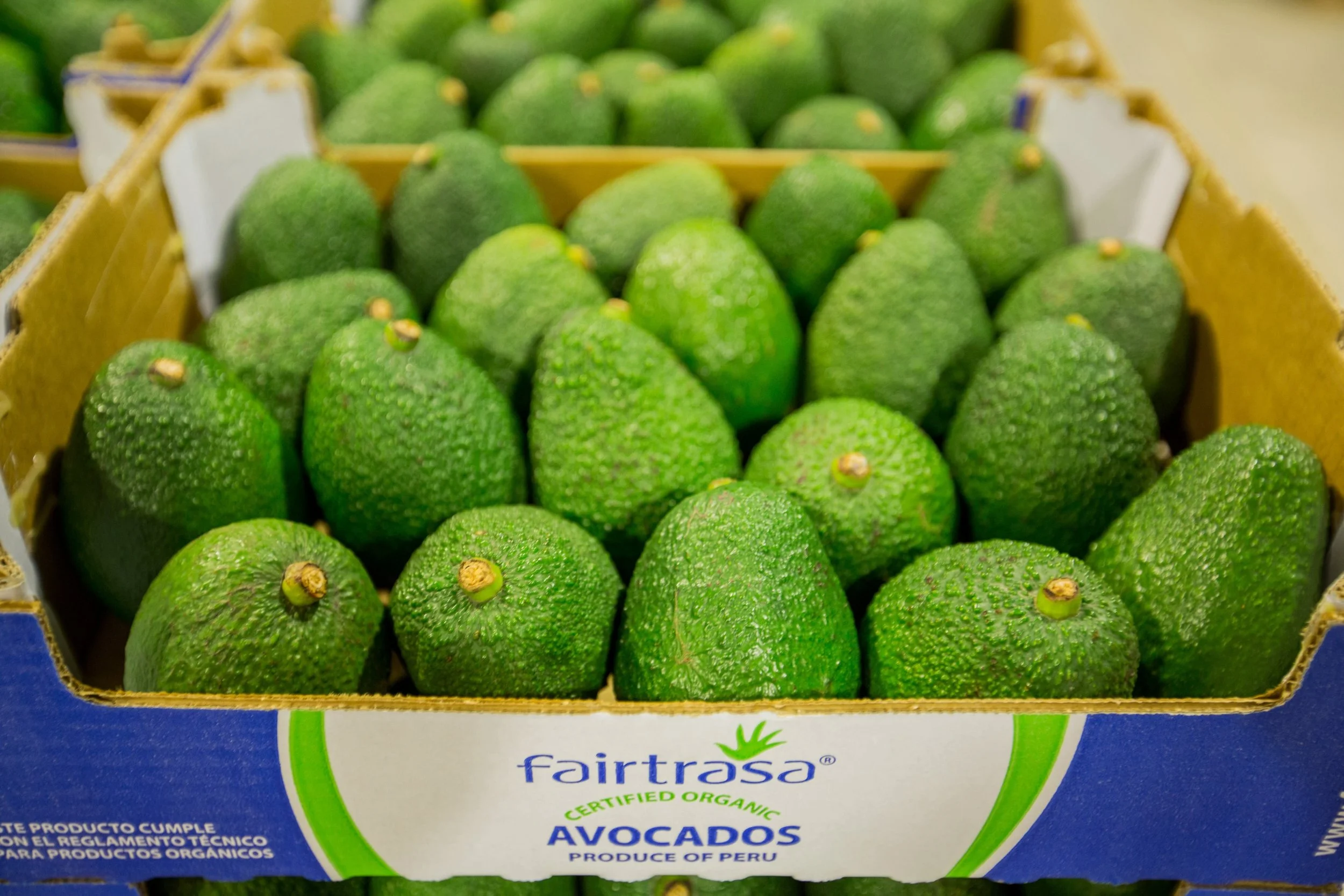 Fairtrasa-Fairtrade-Sustainable-Social-Enterprise.jpg