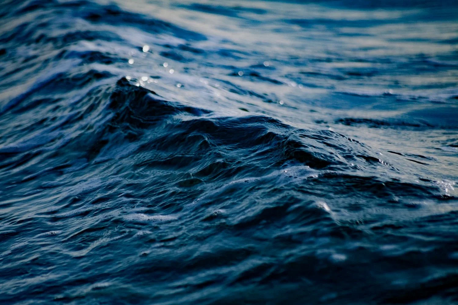 Wave-banner.jpg