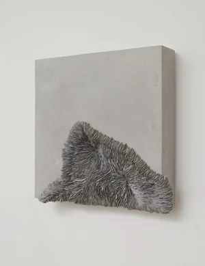 OLIVIA WALKER—Collapsed