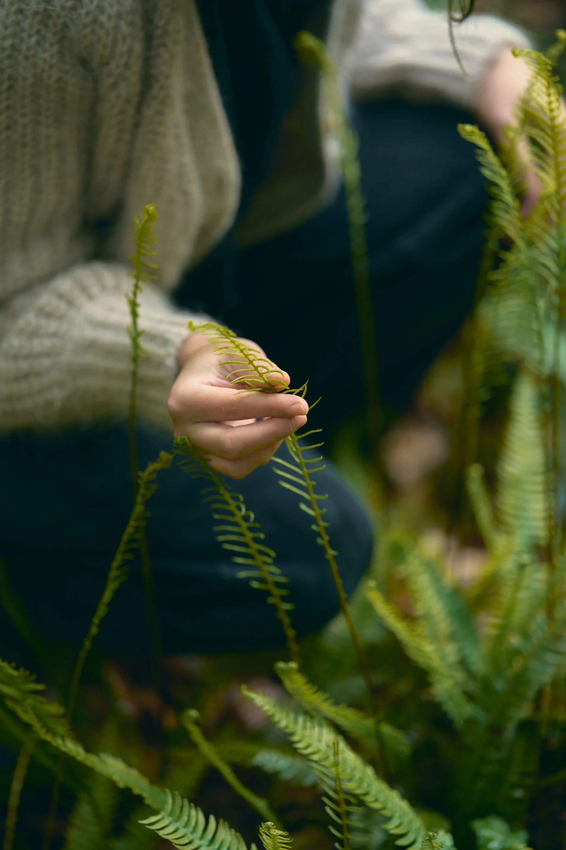 Image courtesy of Lallier