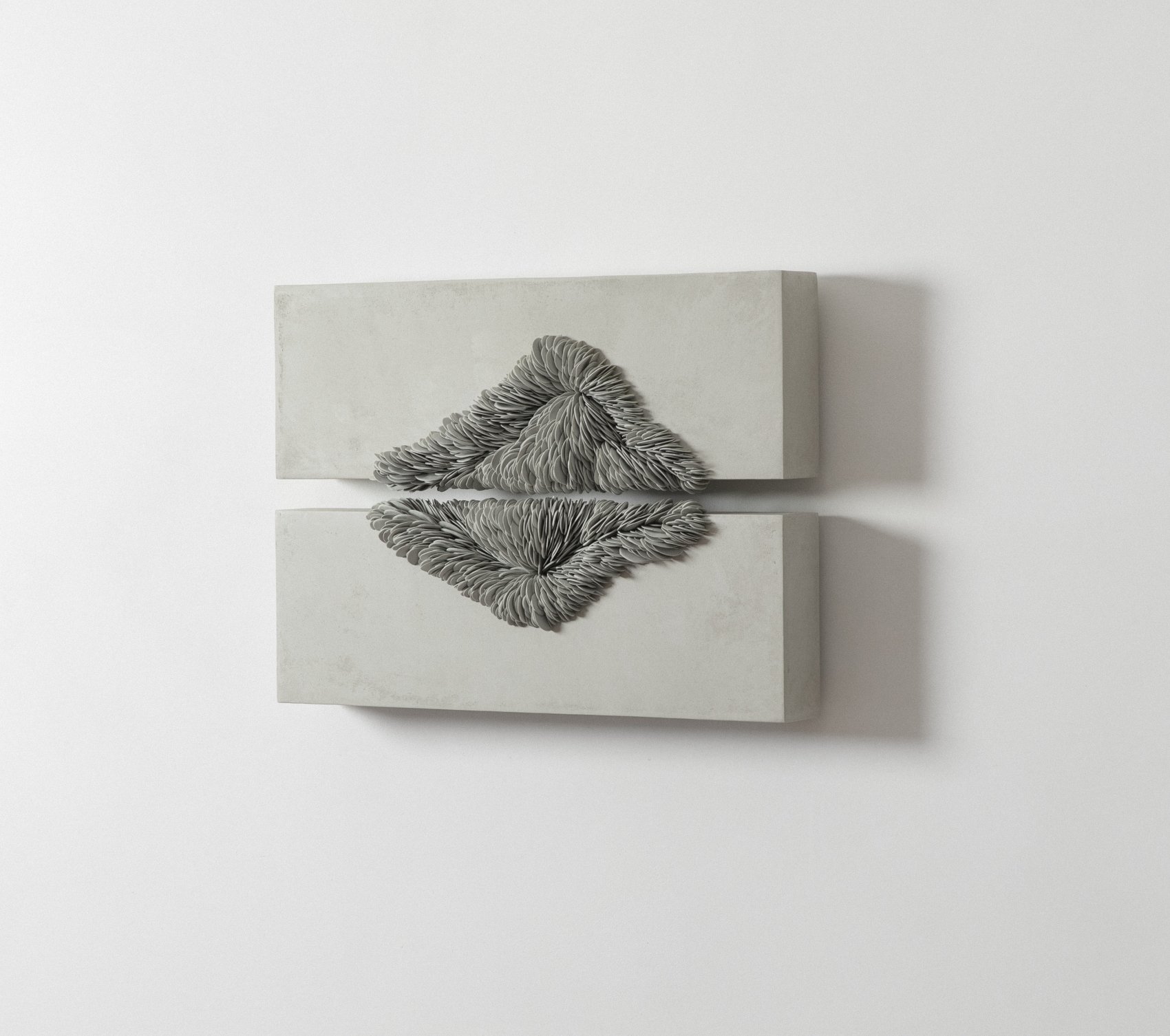 Olivia Walker October 2025-31.jpg