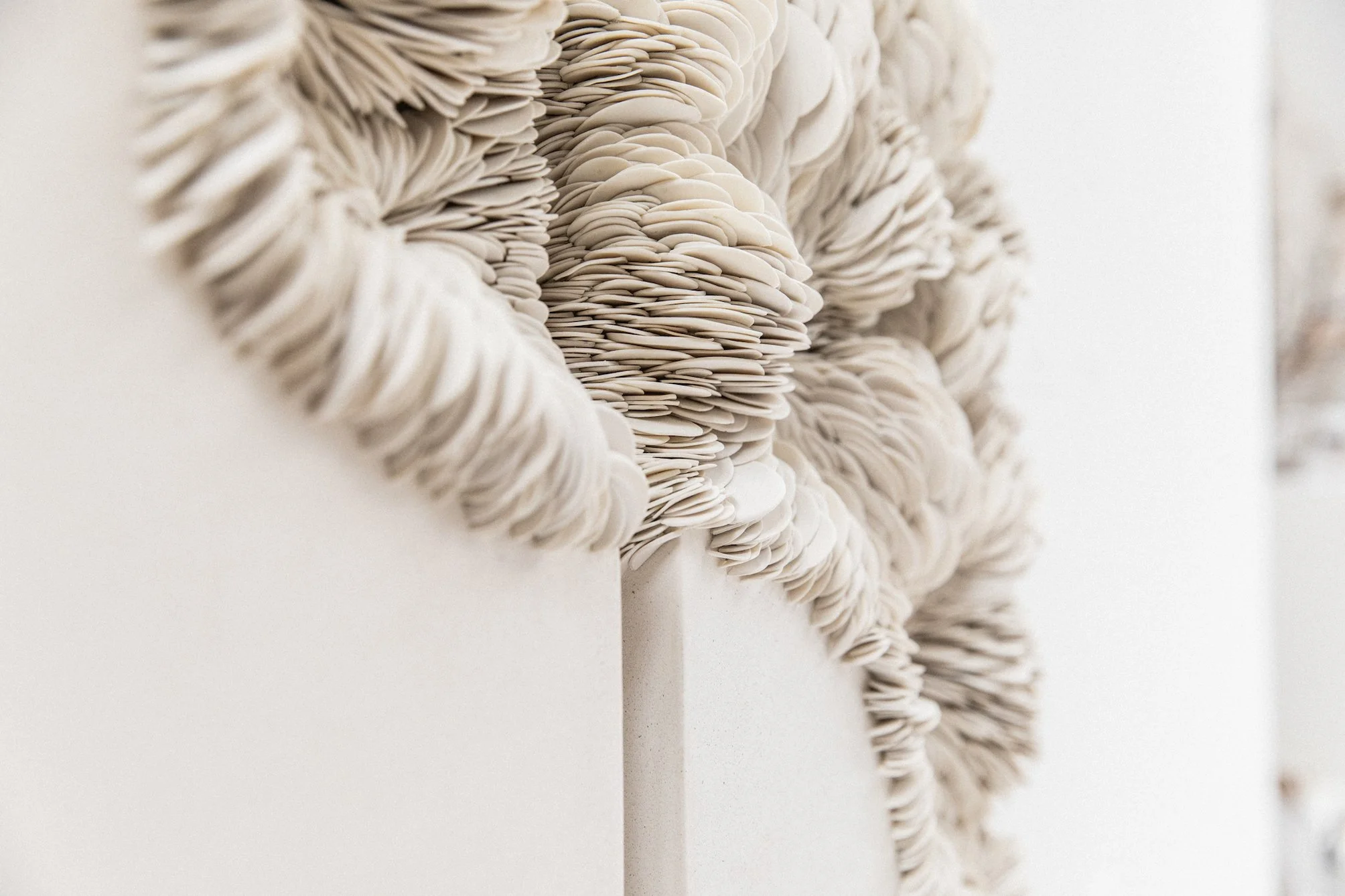 Olivia Walker _sept 2024-27.jpg