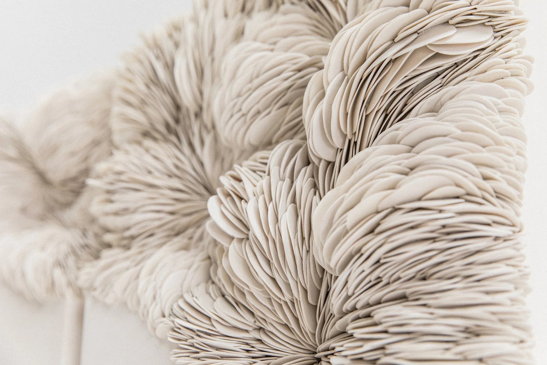 Olivia Walker _sept 2024-22.jpg