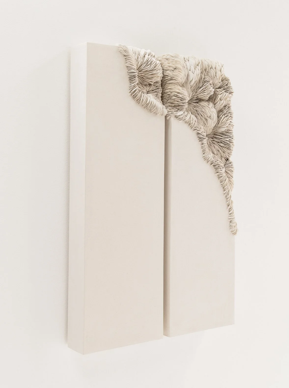 Olivia Walker _sept 2024-19.jpg