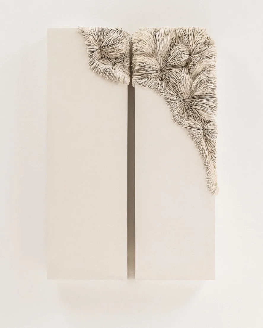 Olivia Walker _sept 2024-18-Edit-Edit.jpg