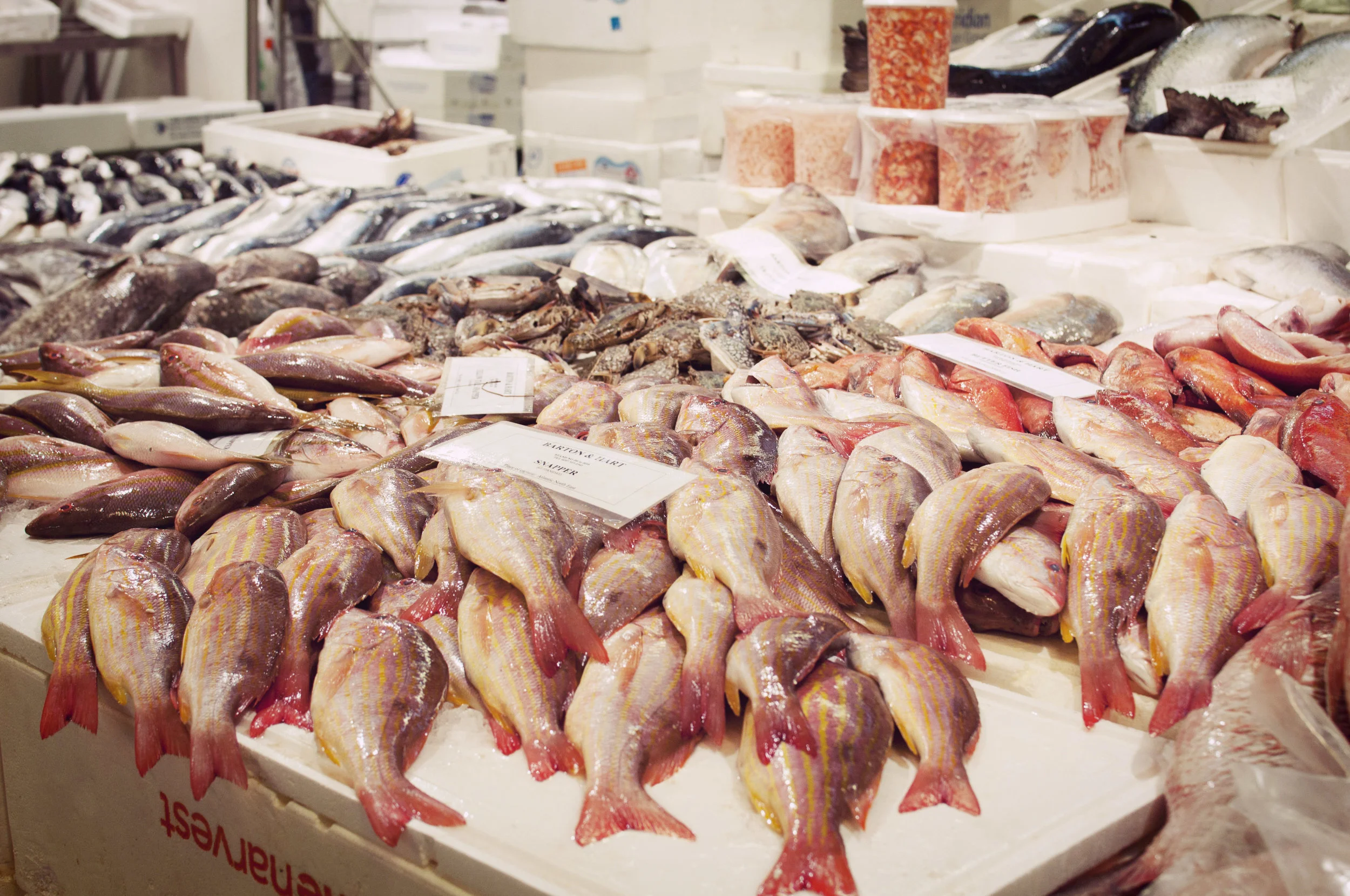 Billingsgate 08