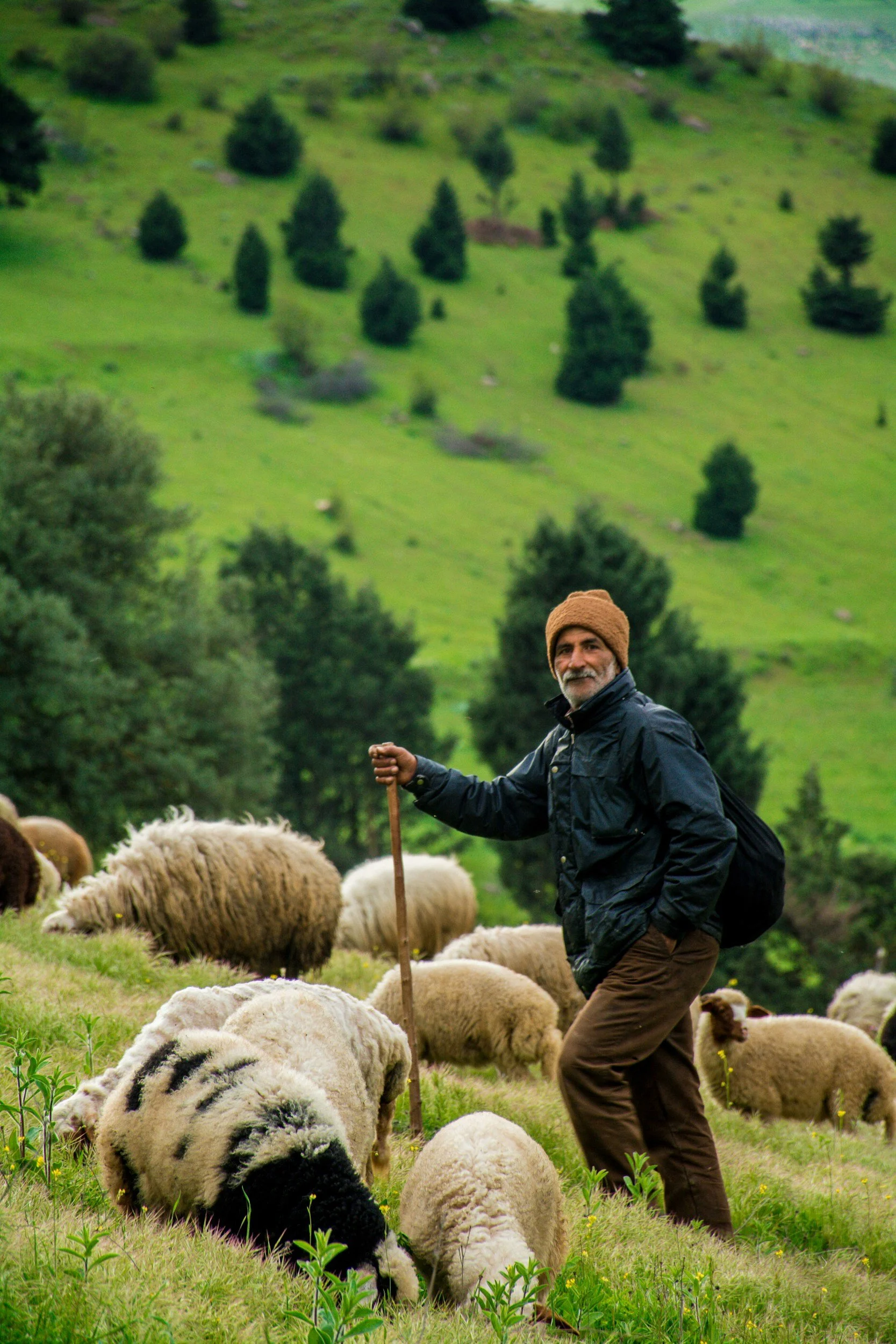 unsplash-image-1NRJxv4BJAU.jpg