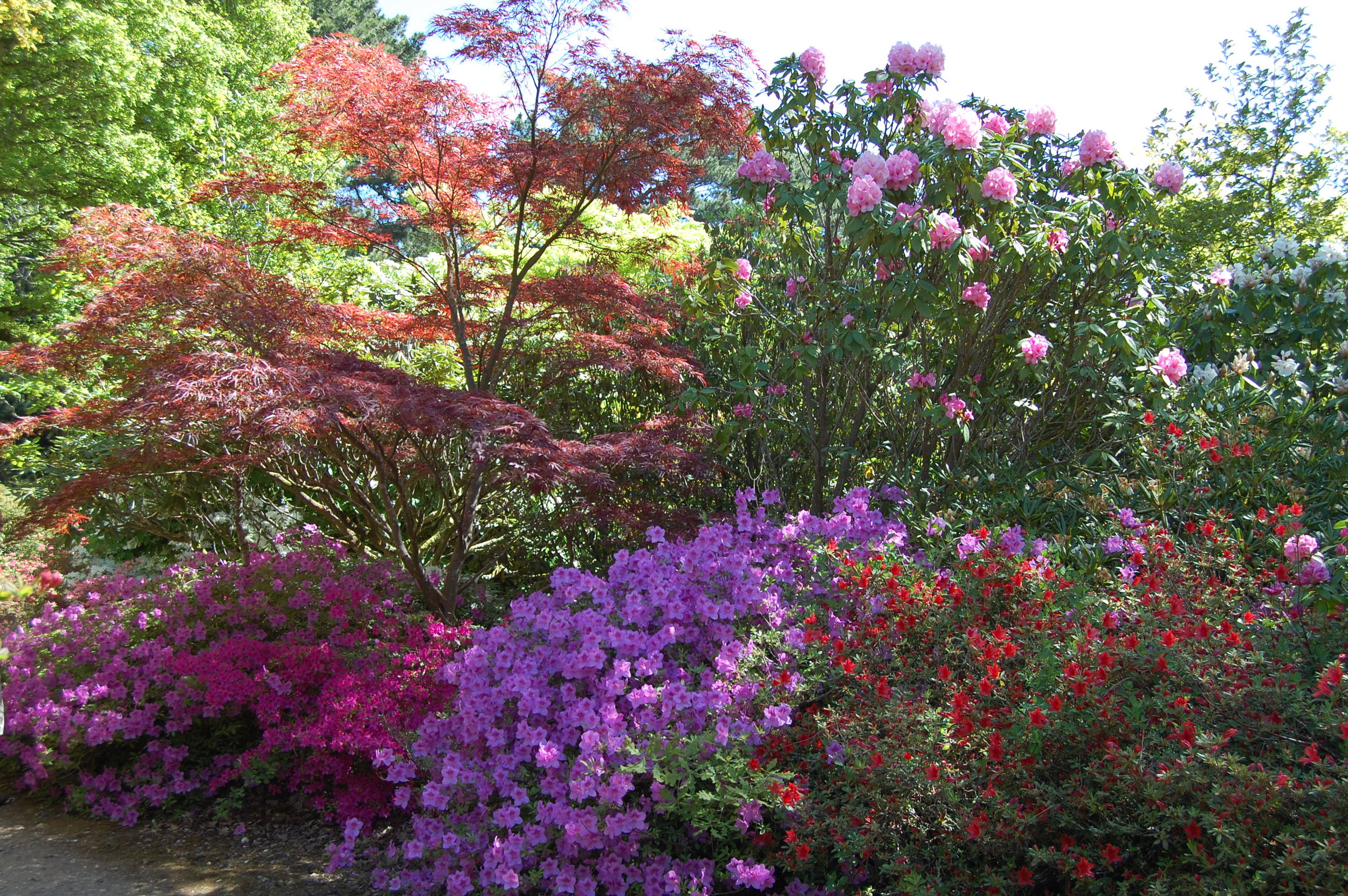 Explore Yoga Day Retreat