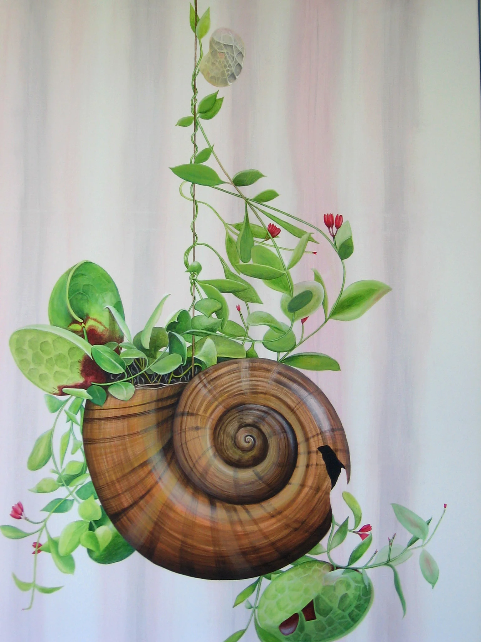 Snail shell, 120x90cm, acrylic on canvas *sold*