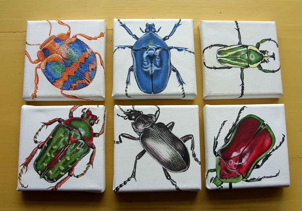 beetles_3.jpg