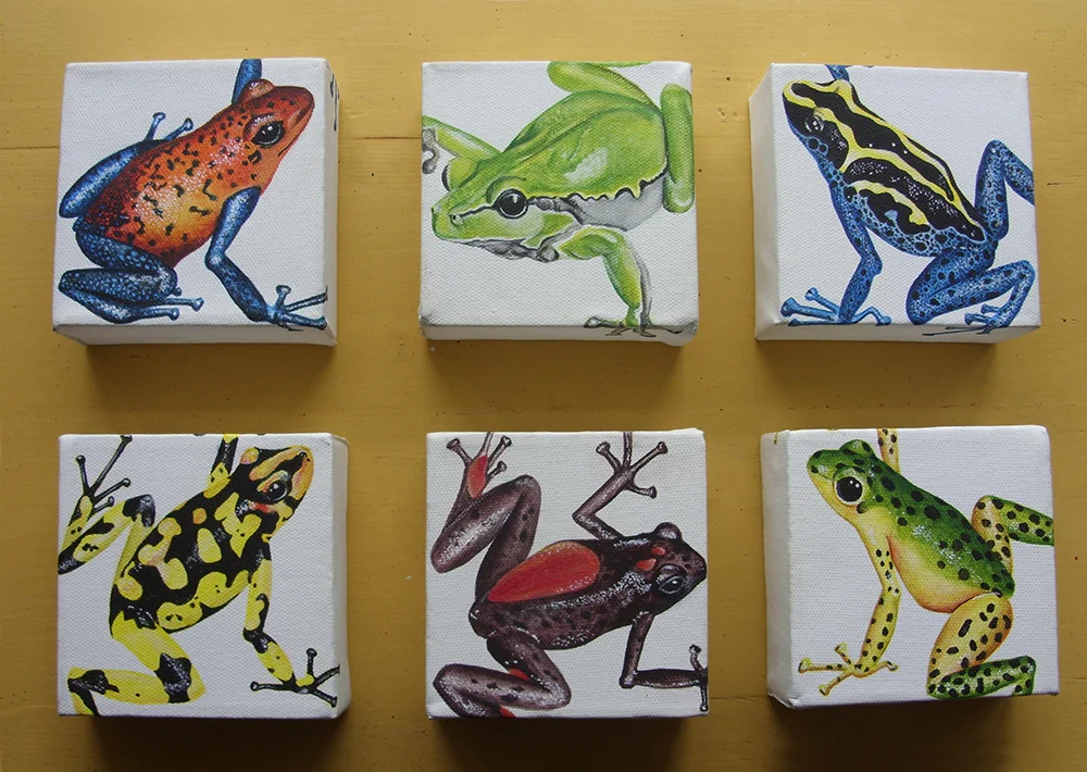 frogs_1.jpg