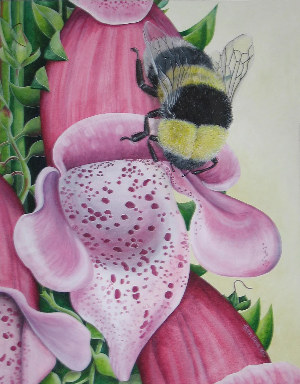 Foxglove, 80x60cm acrylic on canvas, *sold*