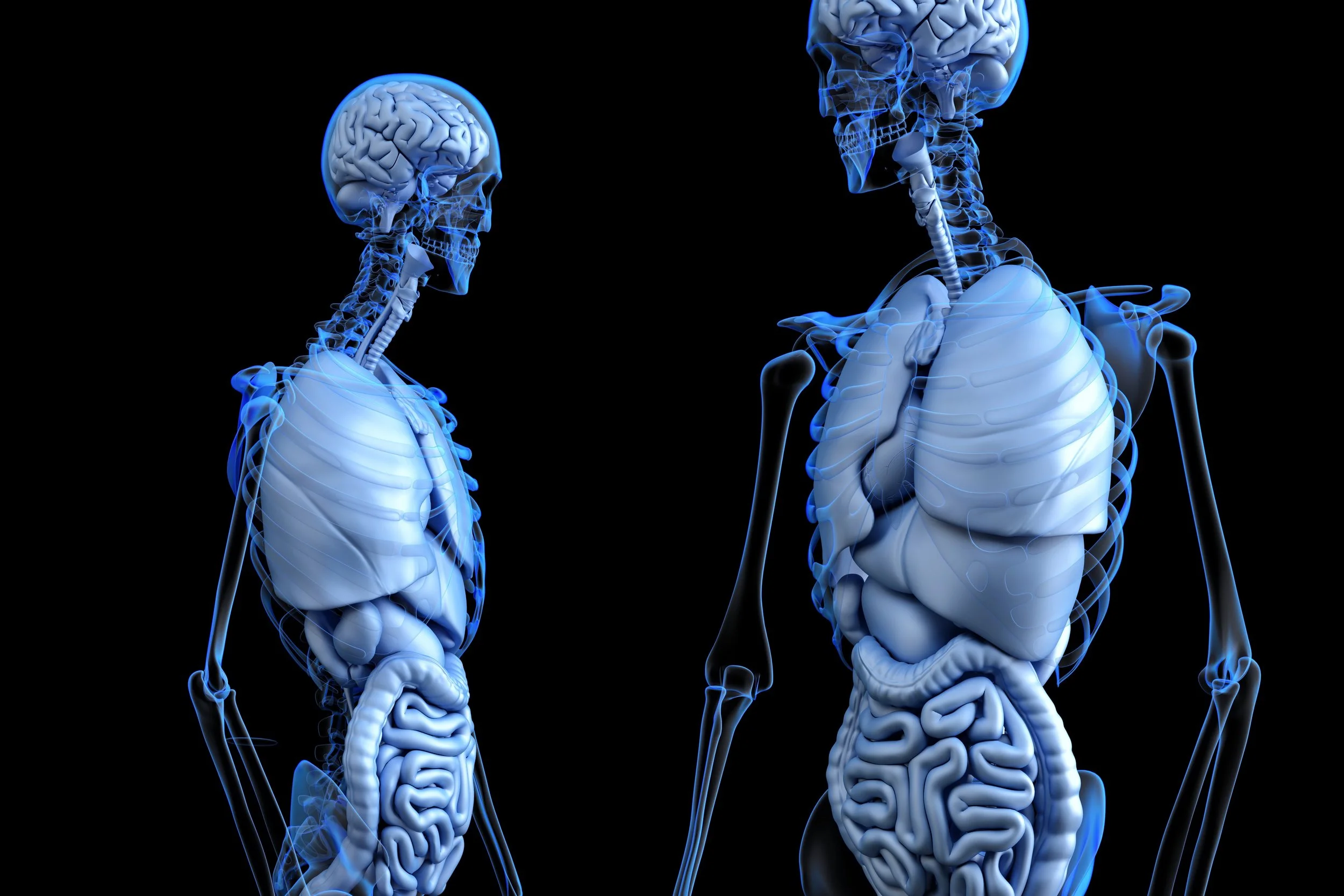THE GUT MICROBIOME AND THE GUT-BRAIN-AXIS