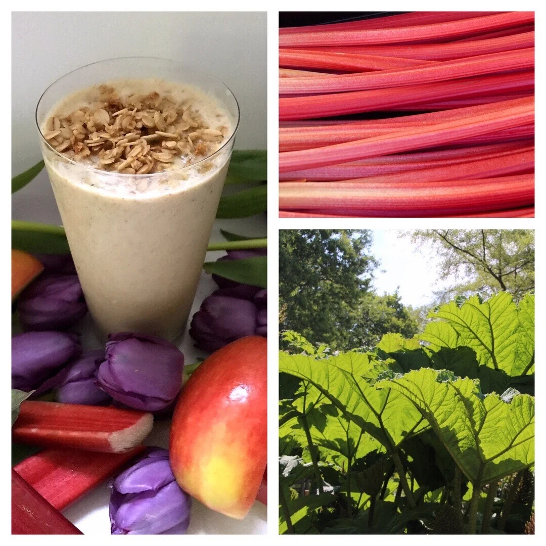 APPLE RHUBARB CRISP SMOOTHIE