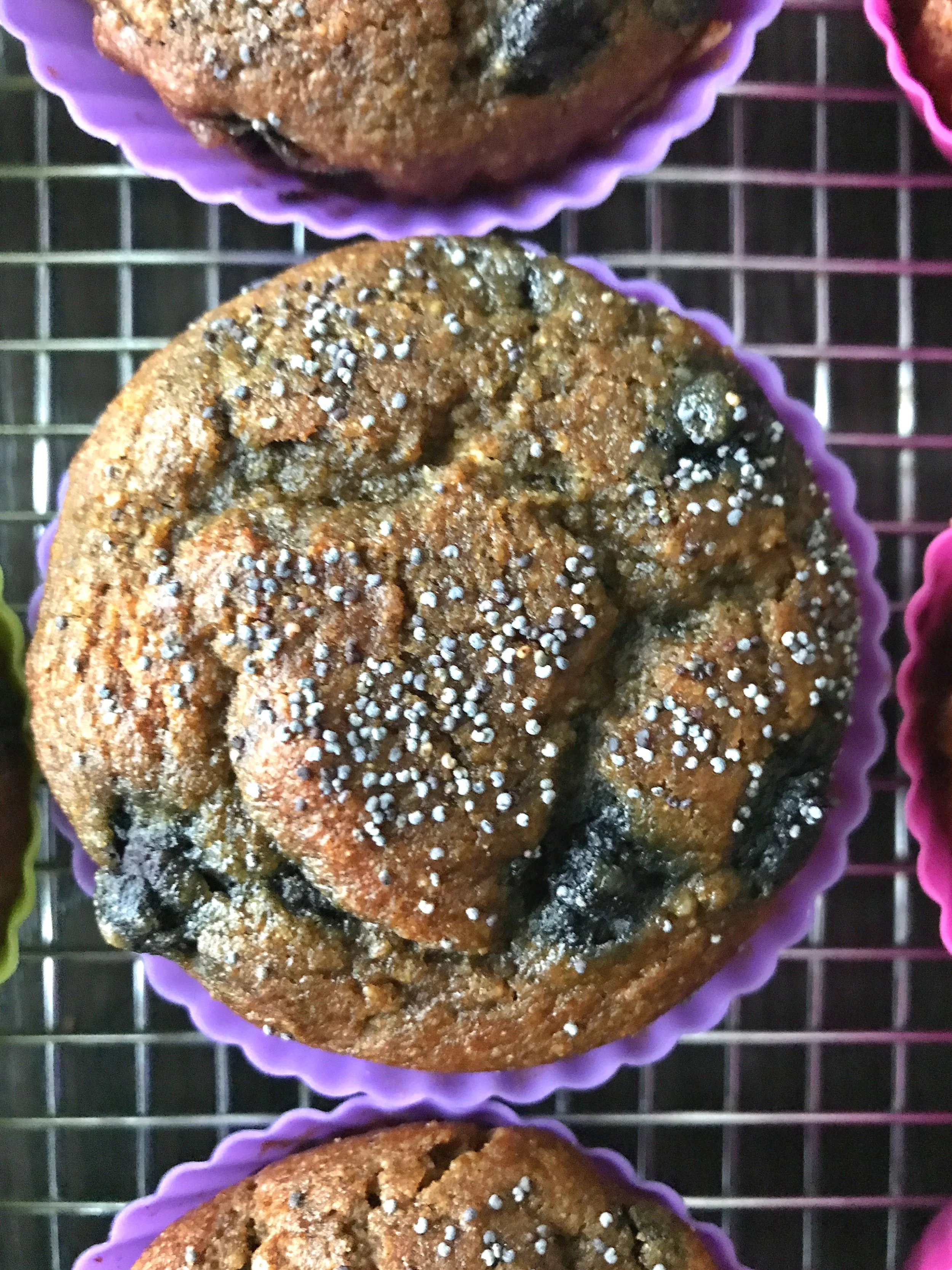 Muffins made with frozen blueberries.