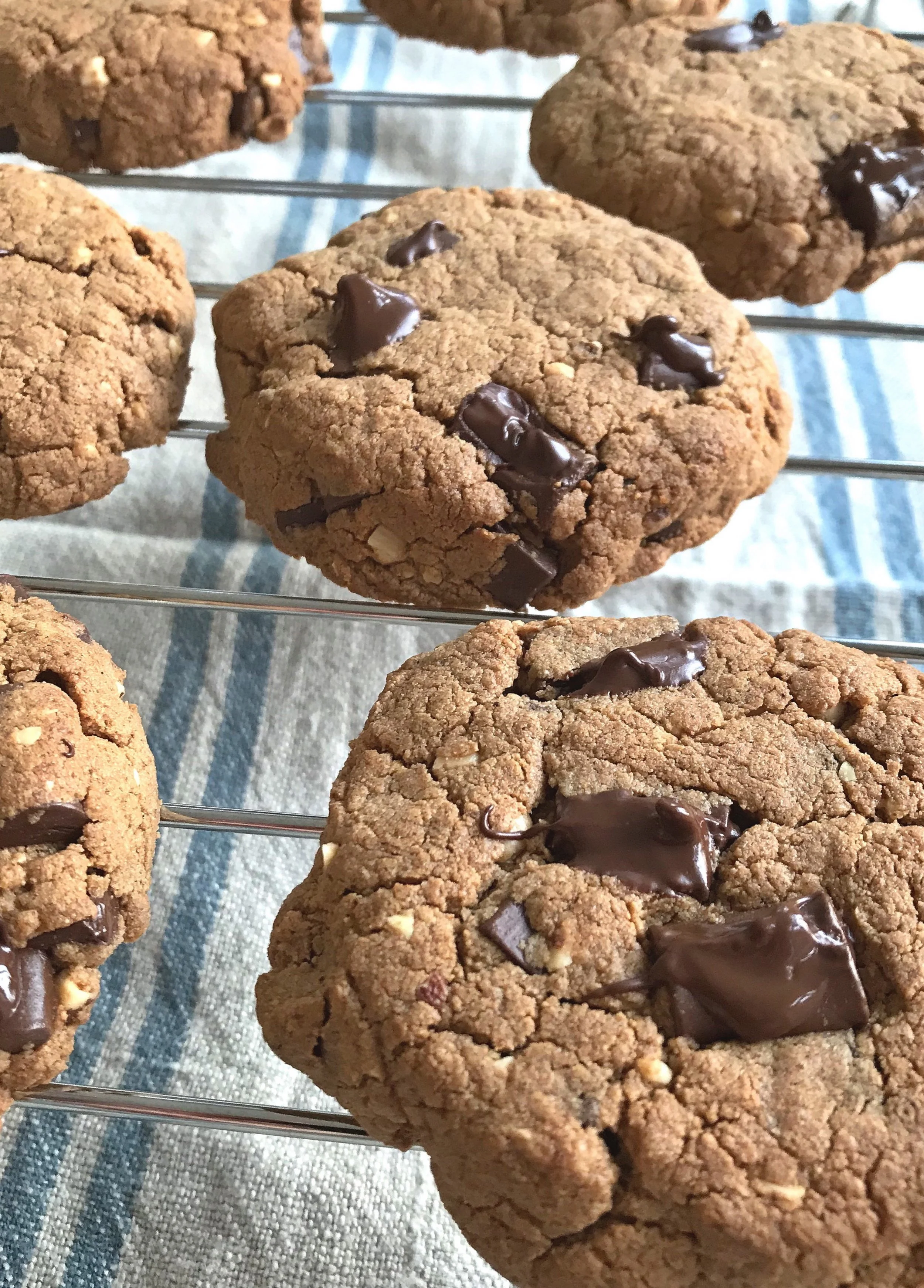 ALMOND BUTTER CHOCOLATE CHUNK COOKIES GRAINFREE PALEO.jpg