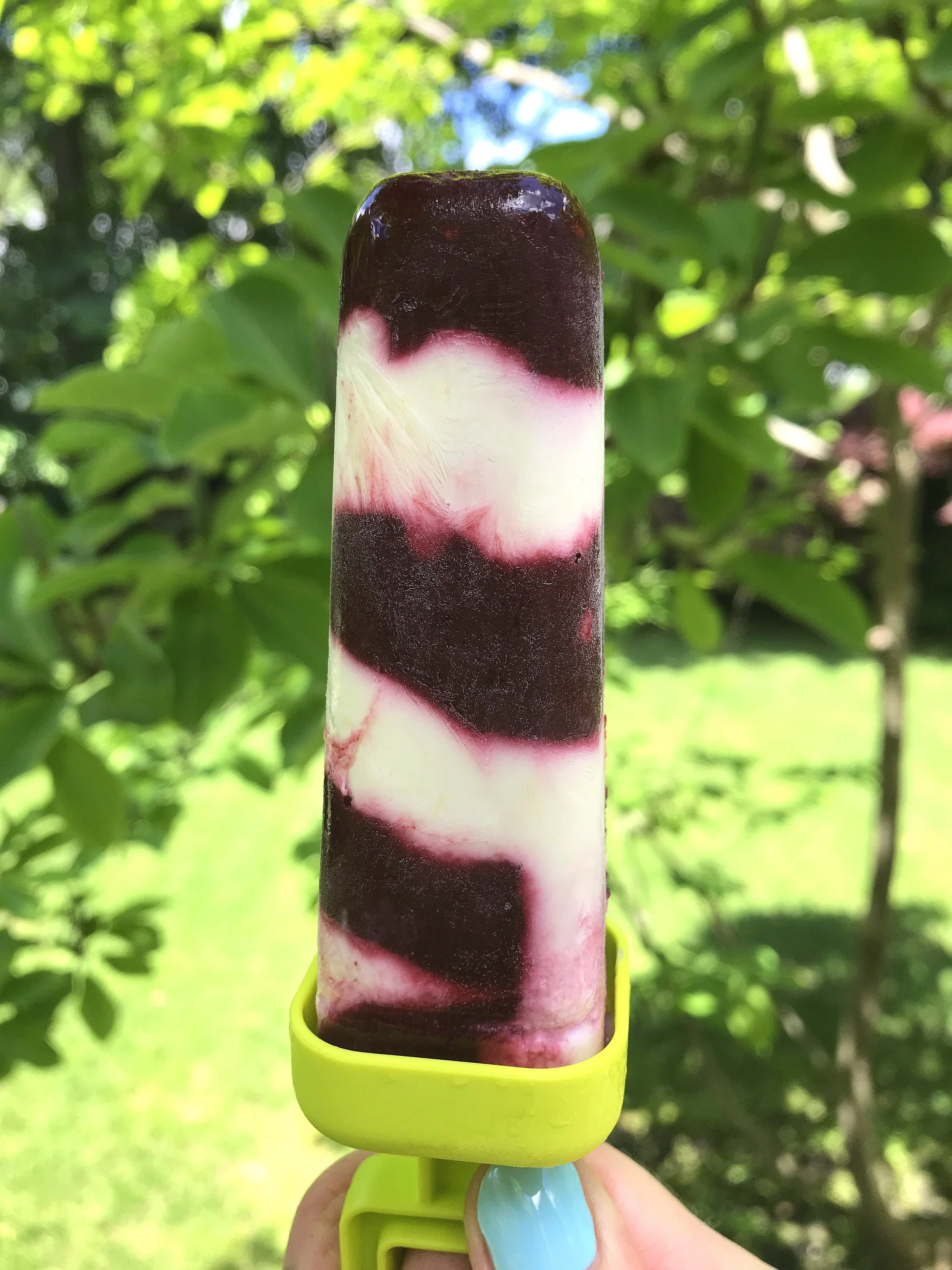 BLACKBERRY ELDERBERRY LEMON POPSICLES.jpg