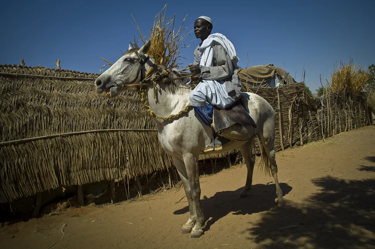 In a street of Djabal camp, a refugee is riding around on his horse, his most precious belonging. The main tribes in the camp are the Massalite and the Dadjo. The minority are Fur, Taman and Zaghawa. 