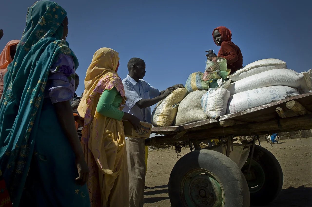 Food distribution day in Treguine. The refugees get Corn Soya Blend (CSB) i.e. enriched flour with oil and soya, cereal (sorghum, wheat), oil, sugar, salt and soap. The quantity depends on the size of the family. For instance, each person gets 12,75 kg of cereal a month. A young refugee perched on wheat bags collected for several families of the same area, goes back home in a donkey cart. The carts are rented for vulnerable refugees by UNHCR, as a free service or by refugees themselves who will pay the cart's owner with cereal. Treguine camp (18 746 refugees on 30 september 2011), 23 kilometers south from Farchana, 120 kilometers east from Abeche, 72 kilometers from the sudanese border, was opened in september 2004.