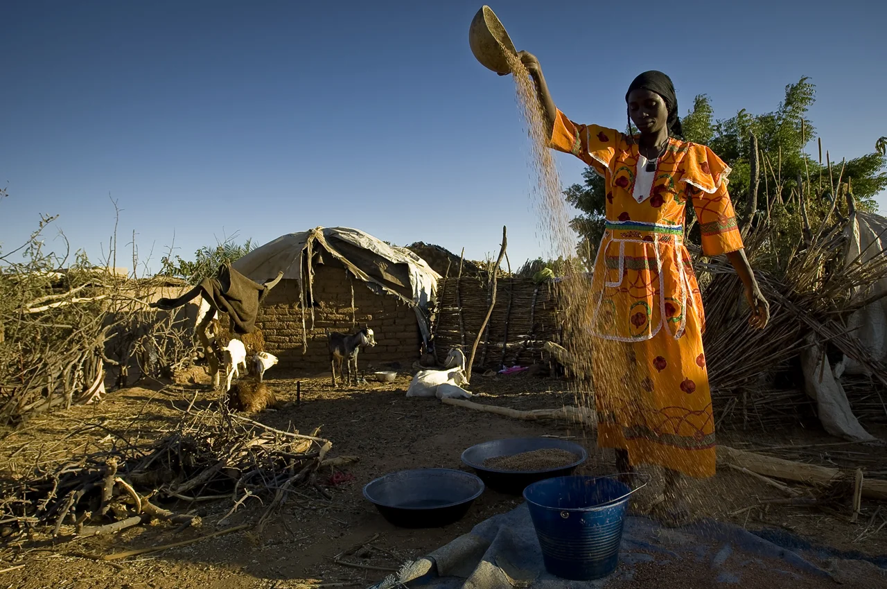 In her family compound, a refugee cleans millet by getting rid of the dust and herbs. She lets the millet fall from a calabash into a bucket. The light wind blows away the impurity. Farchana camp (22 887 refugees on 30 september 2011), 120 kilometers east from Abeche, 56 kilometers from the sudanese border, was opened in january 2004.