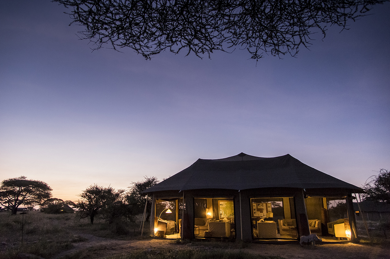 Surrounded by an ocean of grass, Asilia Camp makes it possible to understand the Masai meaning of Serengeti: "endless plain". Asilia Camp is the only tent camp located in the eastern prairies of the central part of the Serengeti, magnet for cheetahs