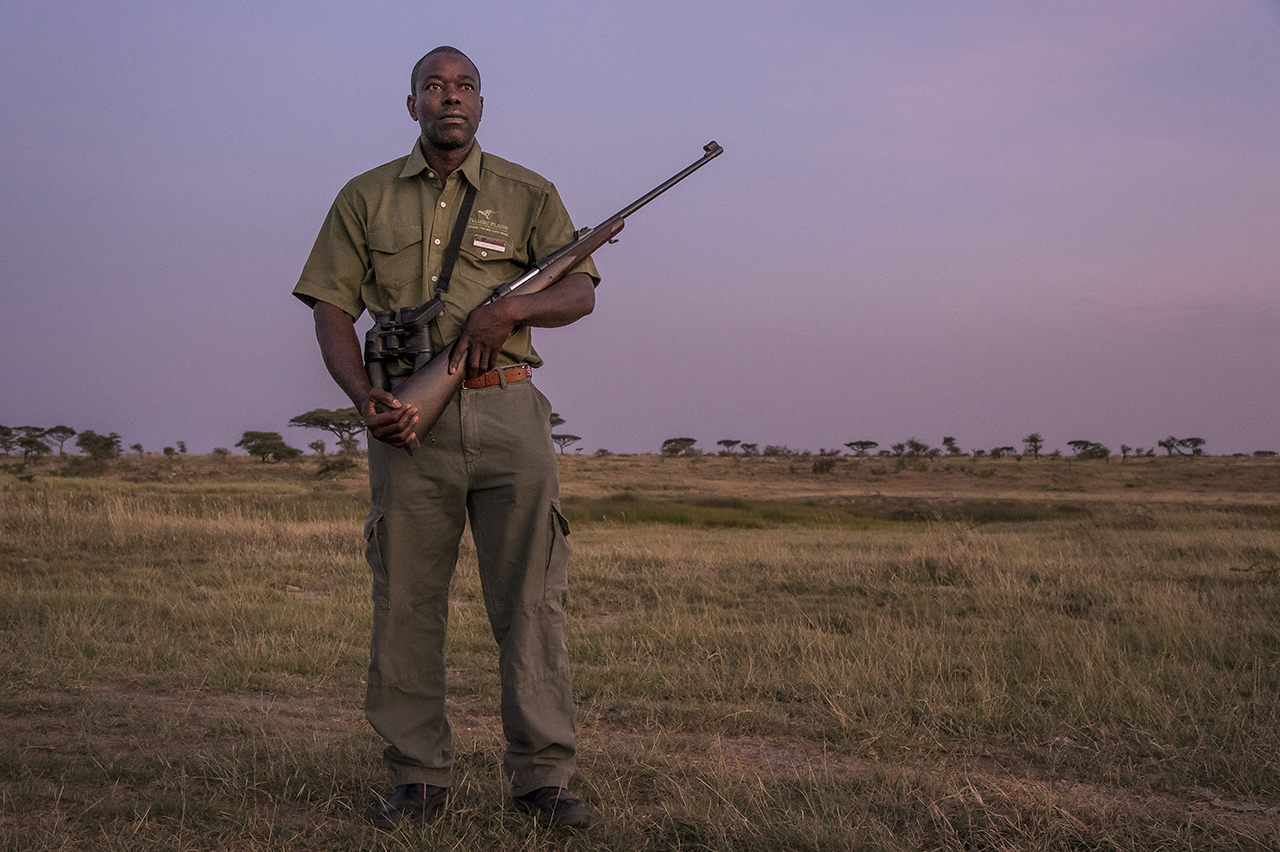 In the early morning in the eastern part of Serengeti Park. Blessed MPOFU saw many kings come out of thickets: "Lions often sit in the reeds and wait for the animals that come to drink," said the Tanzanian pointing to the bank of the nearby river. H