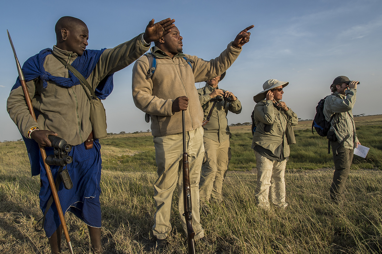In the early morning in the eastern part of Serengeti Park. A young Masai warrior indicates the presence of a buffalo at Blessed MPOFU (2nd Left), a guide who leads a tourist group on a walking tour. A Masai, accompanies each walk as much for the fo