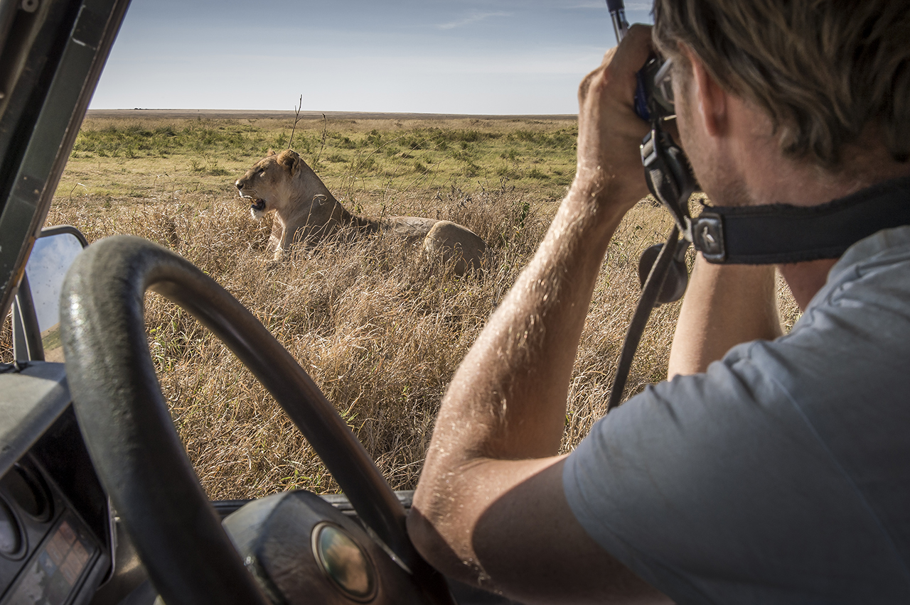 A field assistant working for a research project about lions in the Serengeti, tries to identify a femelle by watching her with binoculars.