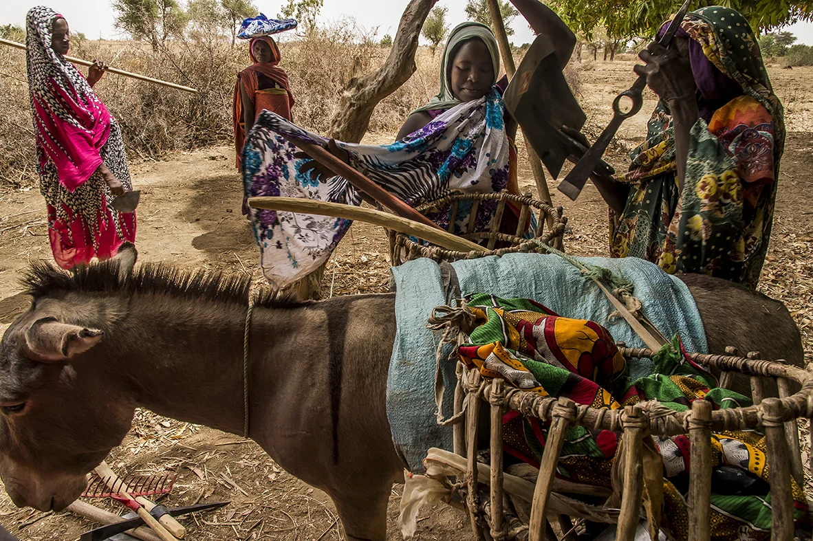 In the village of Amleyouna, Ouara district, Ouaddaï region, two female farmers load a donkey with agricultural inputs (tools, seeds) given by an NGO. More than rewarding regular attendance, these inputs allow beneficiaries of a training program to get the technical means to cultivate their family plots with suitable tool and input. Traditionally, the women are in charge of work in the fields. 