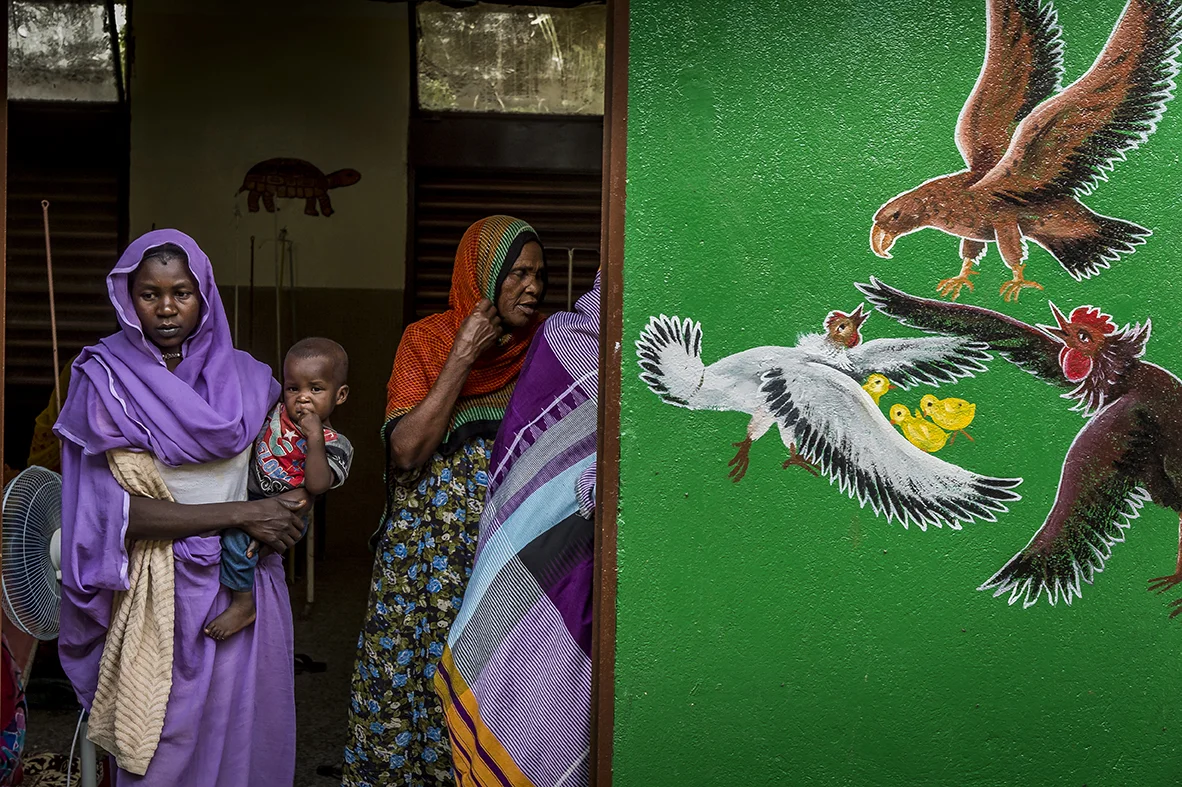 Regional hospital of Abeche, Ouara district. The interior yard of the Pediatric Section. On a newly painted wall a symbolic picture : a chicken and a rooster protecting their chick from an attacking bird of prey. 