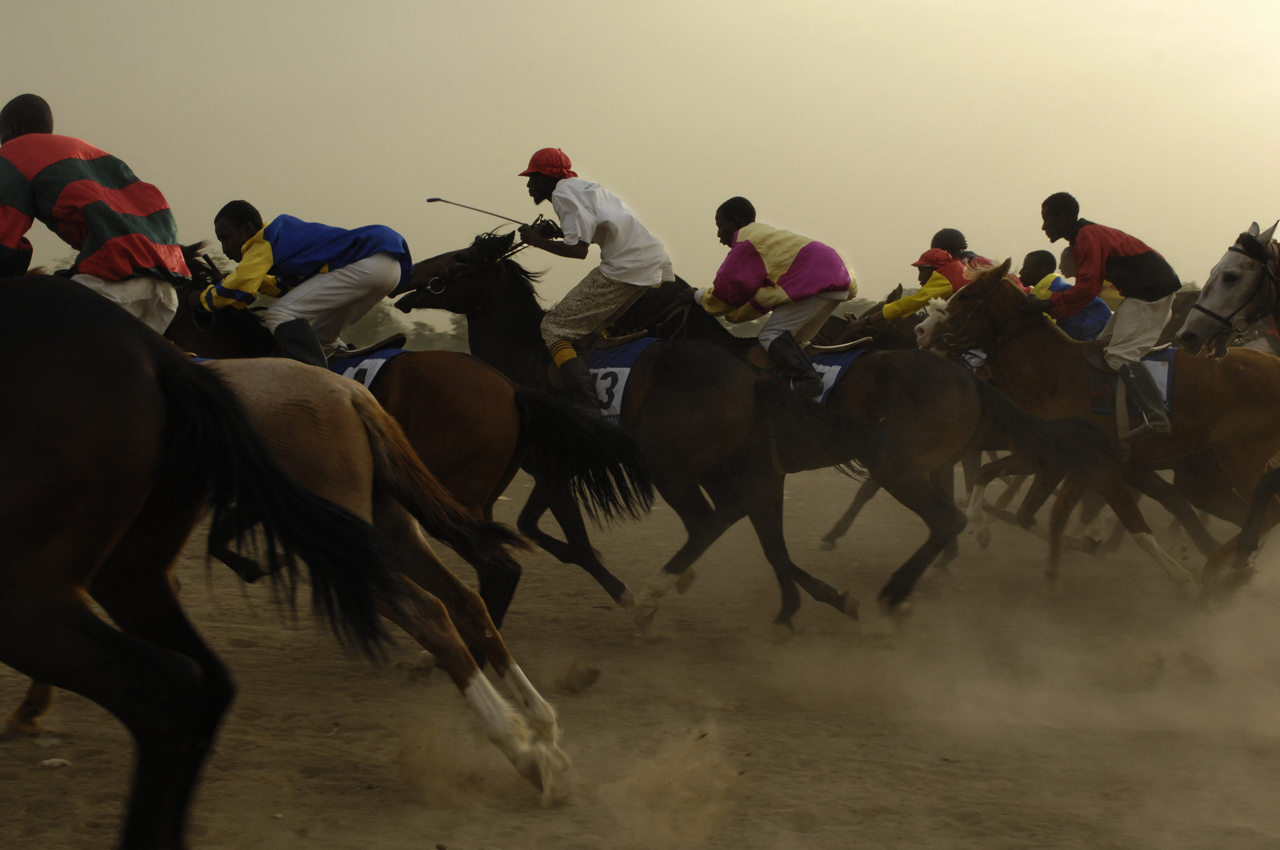 Djouhat, horse racing, Chad