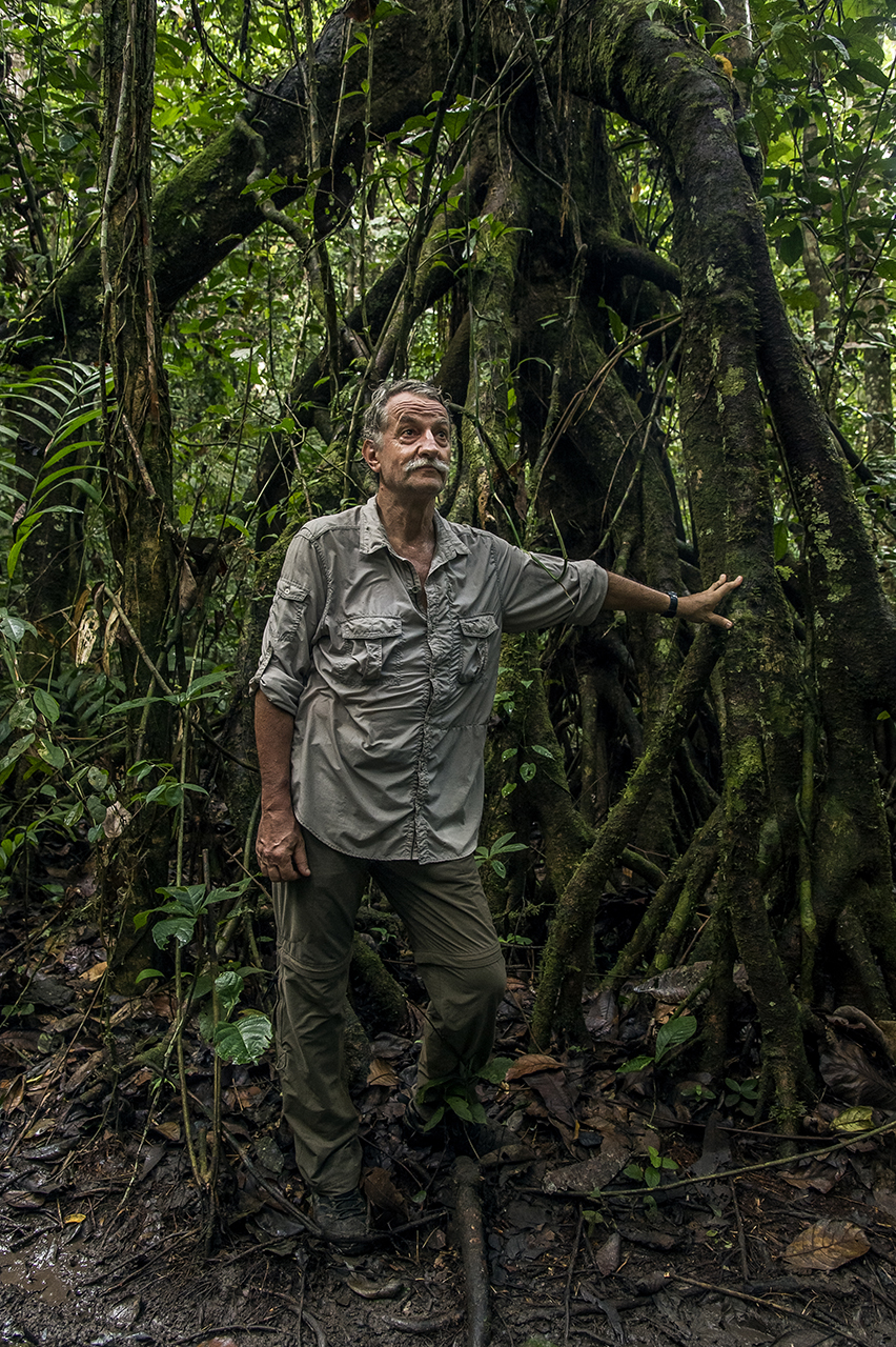 Christophe Boesch, a Franco-Swiss primatologist, takes a break in the forest of Taï on the way to "Camp Boyé" one of the 2 eco-camp of the National Park of Taï, in Ivory Coast. Since 1997, he is the director of the Department of Primatology at the M