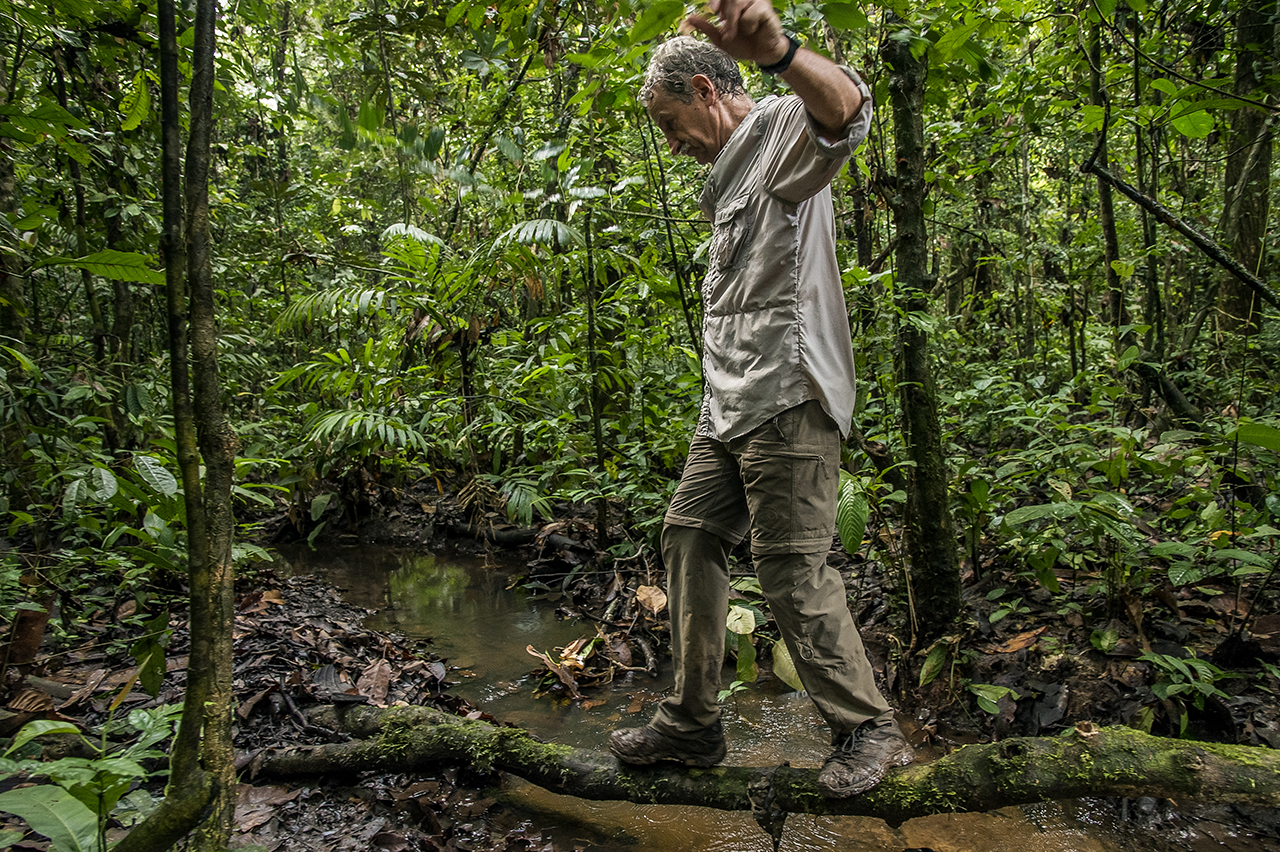 Christophe Boesch, primatologist, crosses a small river in the forest of Taï on the way of "Camp Boyé" one of the 2 eco-camp of the National Park of Taï, in Ivory Coast. It rained recently. The trails are muddy and regularly cut by small springs and