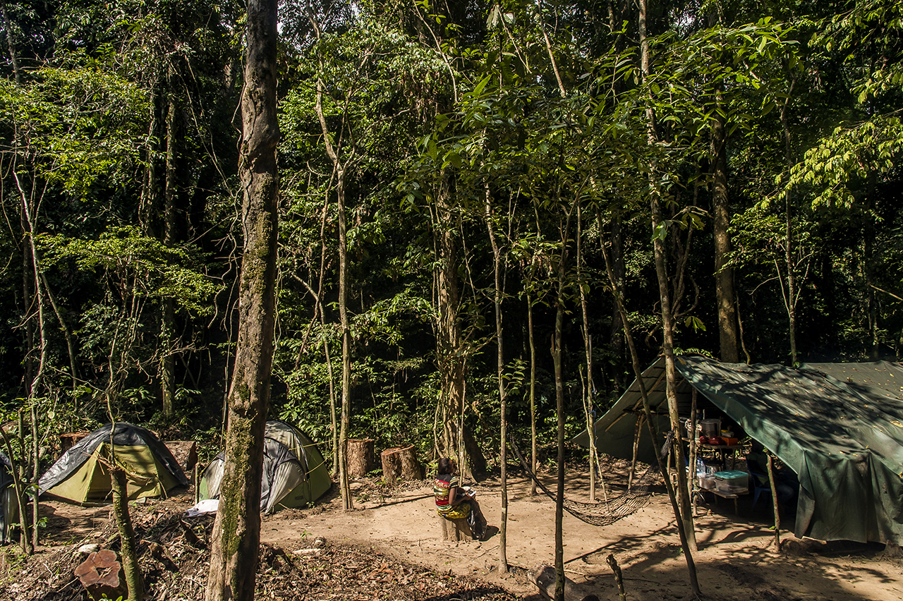 In the middle of the clearing pruned in the heart of the tropical forest to build "Camp Boyé", the cook takes a break and lazes in the sun. There are two small eco-camps in the region, one managed by the Wild Chimpanzee Foundation (WCF) "Camp Boyé"