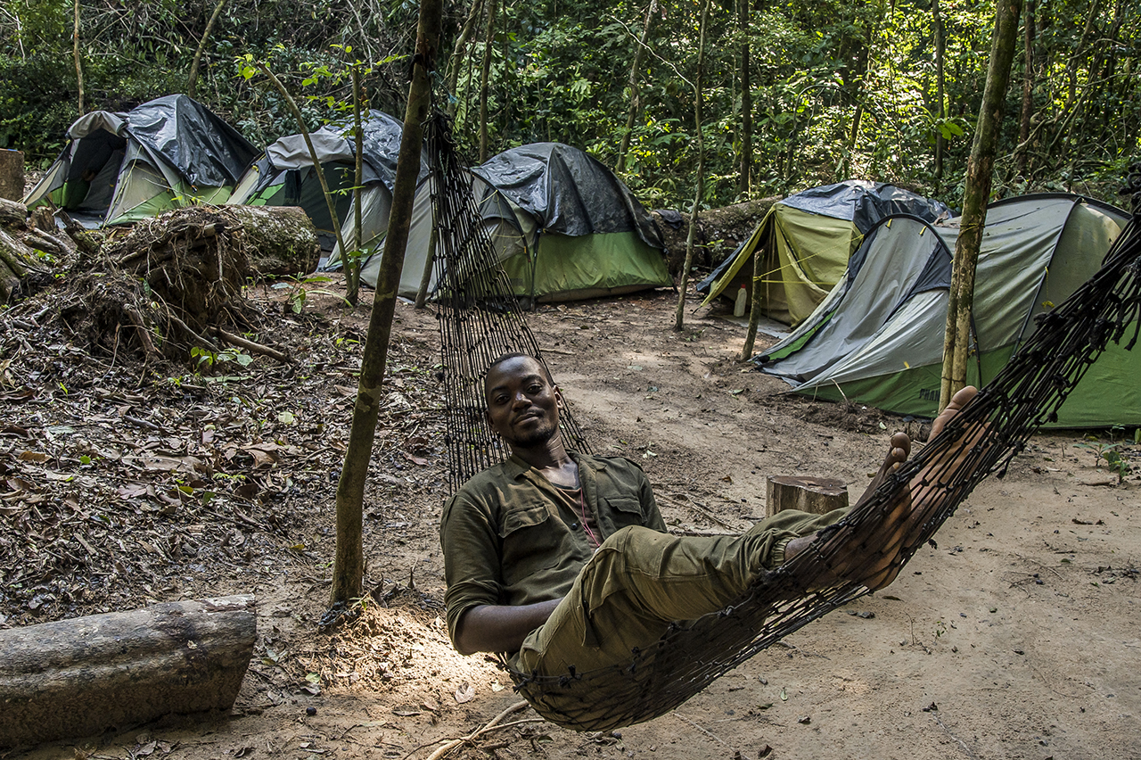 In the clearing in the middle of the tropical forest where "Camp Boyé" is located, an eco-camp run by the Wild Chimpanzee Foundation (WCF), an eco guide lyes in a hammock in front of the tents row where its colleagues and he spend the nights. Behind