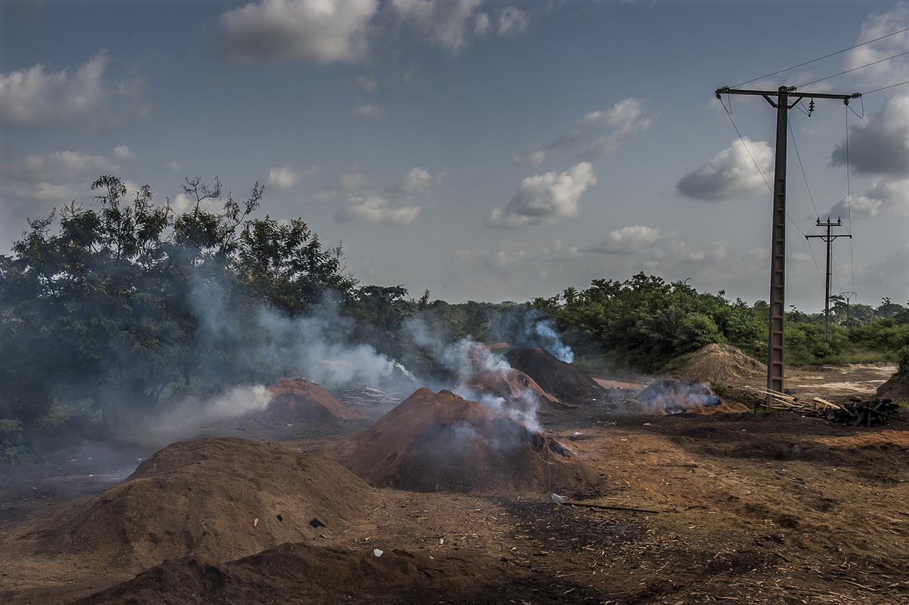 On the outskirts of the village of Guiglo, charcoal kilns, fueled by wood waste from the forestry industry smoke. The charcoal thus obtained will be sold on the markets of Abidjan at 10 hours of roads from there. One of the biggest threats to chimp