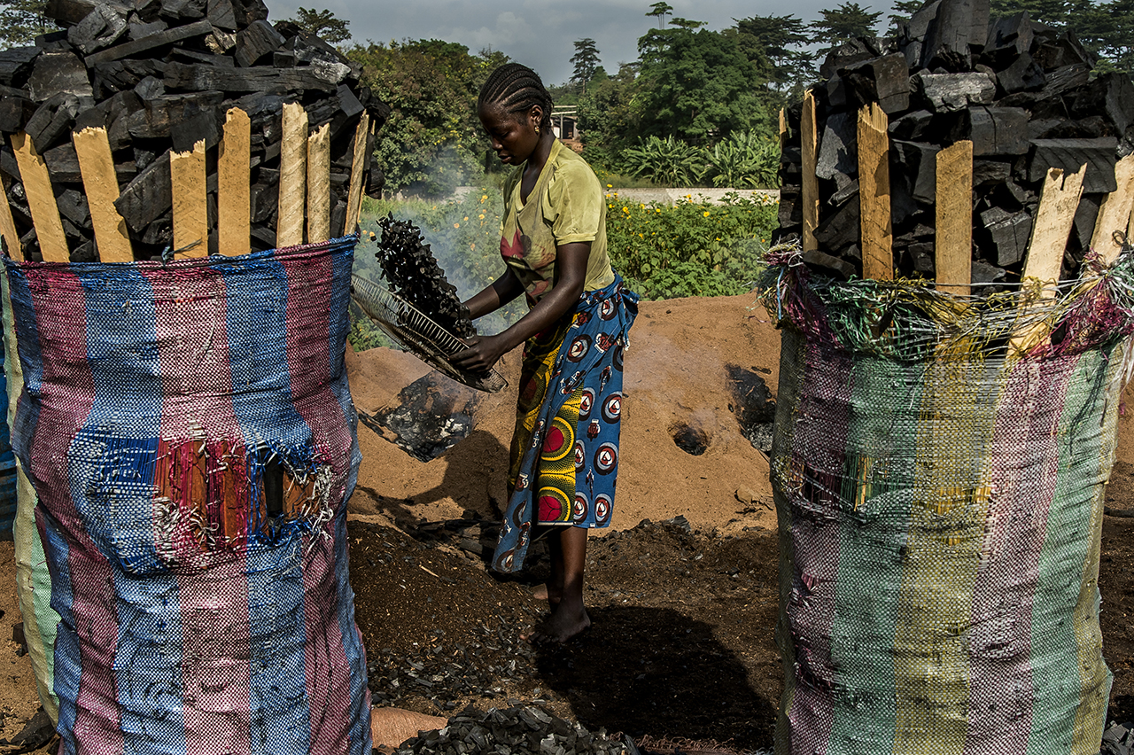 On the outskirts of the village of Guiglo, a young woman sifted pieces of charcoal before sacking them. The charcoal thus obtained will be sold on the markets of Abidjan at 10 hours of roads from there. One of the biggest threats to chimpanzees tod