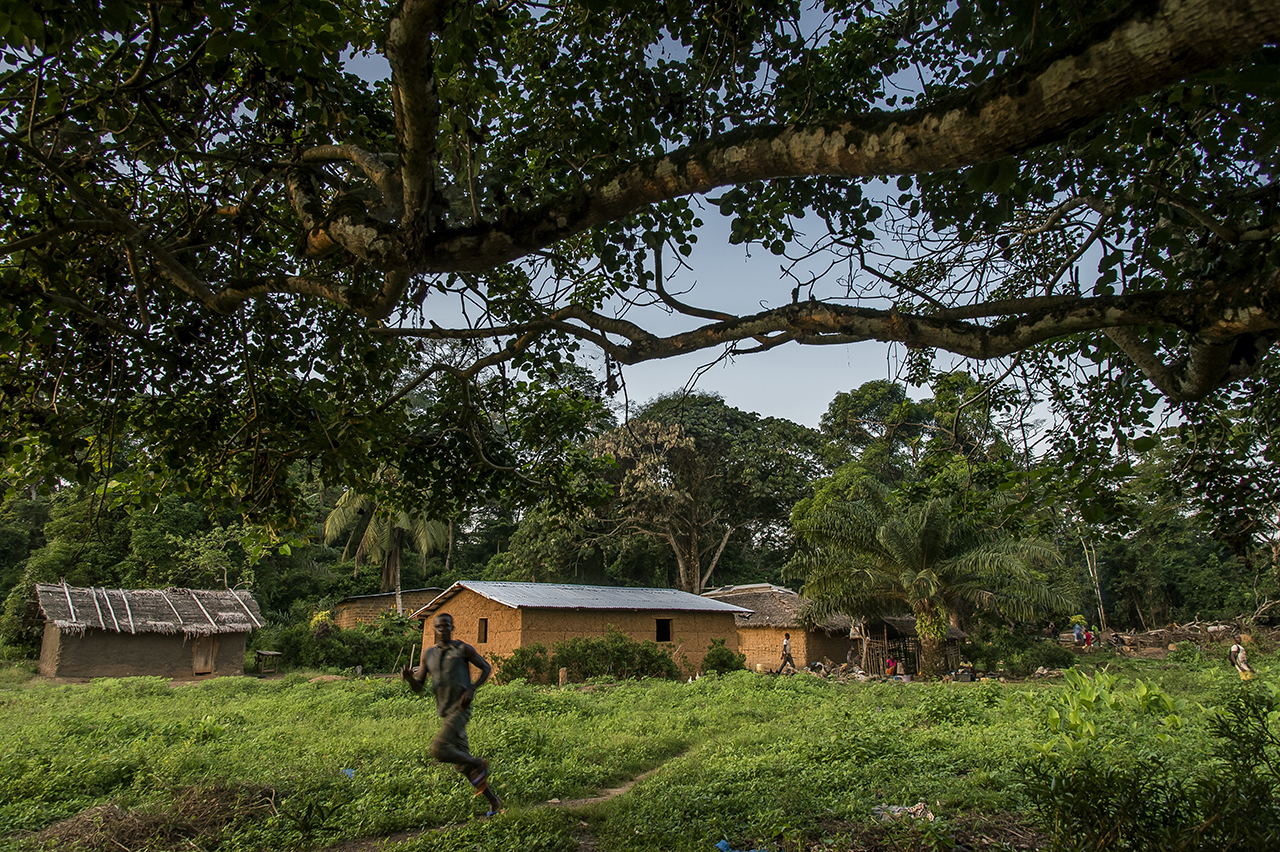 Village of Gouleako, close to the Taï National Park, a 10-minute drive from the town of Taï. Gouleako is part of an eco-tourism circuit. Visitors can spend the night there eating and hearing the history of the village during a traditional evening