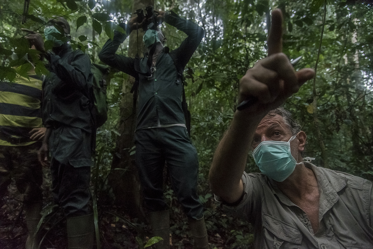The heat is intense and the humidity suffocating in the rain forest of Tai. Christophe Boesch, a Franco-Swiss primatologist who has been doing research on chimpanzees since 1976, points at eco-guides of the Wild Chimpanzee Foundation (WCF that he cr