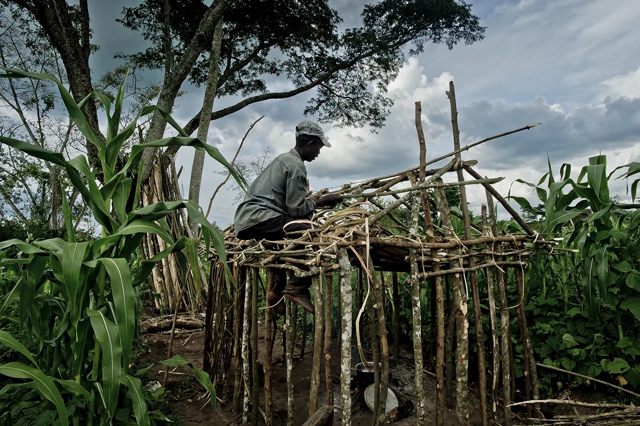 story of congolese 57.jpg